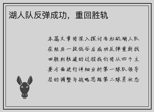 湖人队反弹成功，重回胜轨