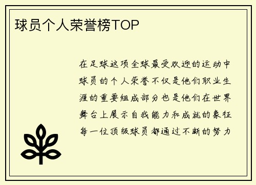 球员个人荣誉榜TOP