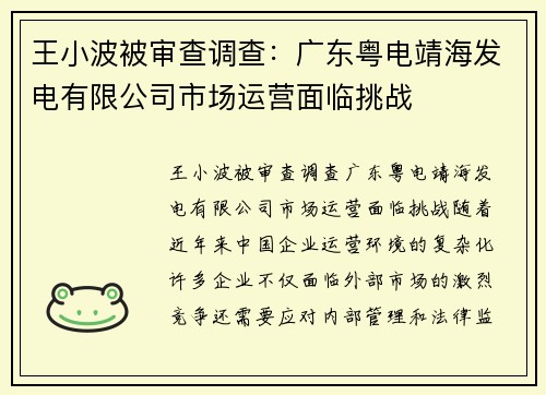 王小波被审查调查：广东粤电靖海发电有限公司市场运营面临挑战