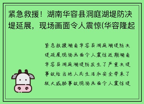 紧急救援！湖南华容县洞庭湖堤防决堤延展，现场画面令人震惊(华容隆起被长江切穿之前)