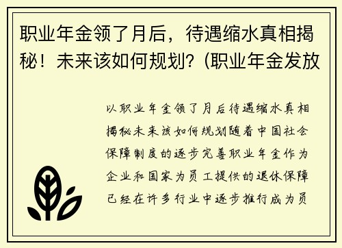 职业年金领了月后，待遇缩水真相揭秘！未来该如何规划？(职业年金发放规定)
