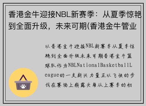 香港金牛迎接NBL新赛季：从夏季惊艳到全面升级，未来可期(香港金牛管业)